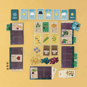 grow-up-a-game-about-life-game-boards-and-cards-with-playing-pieces