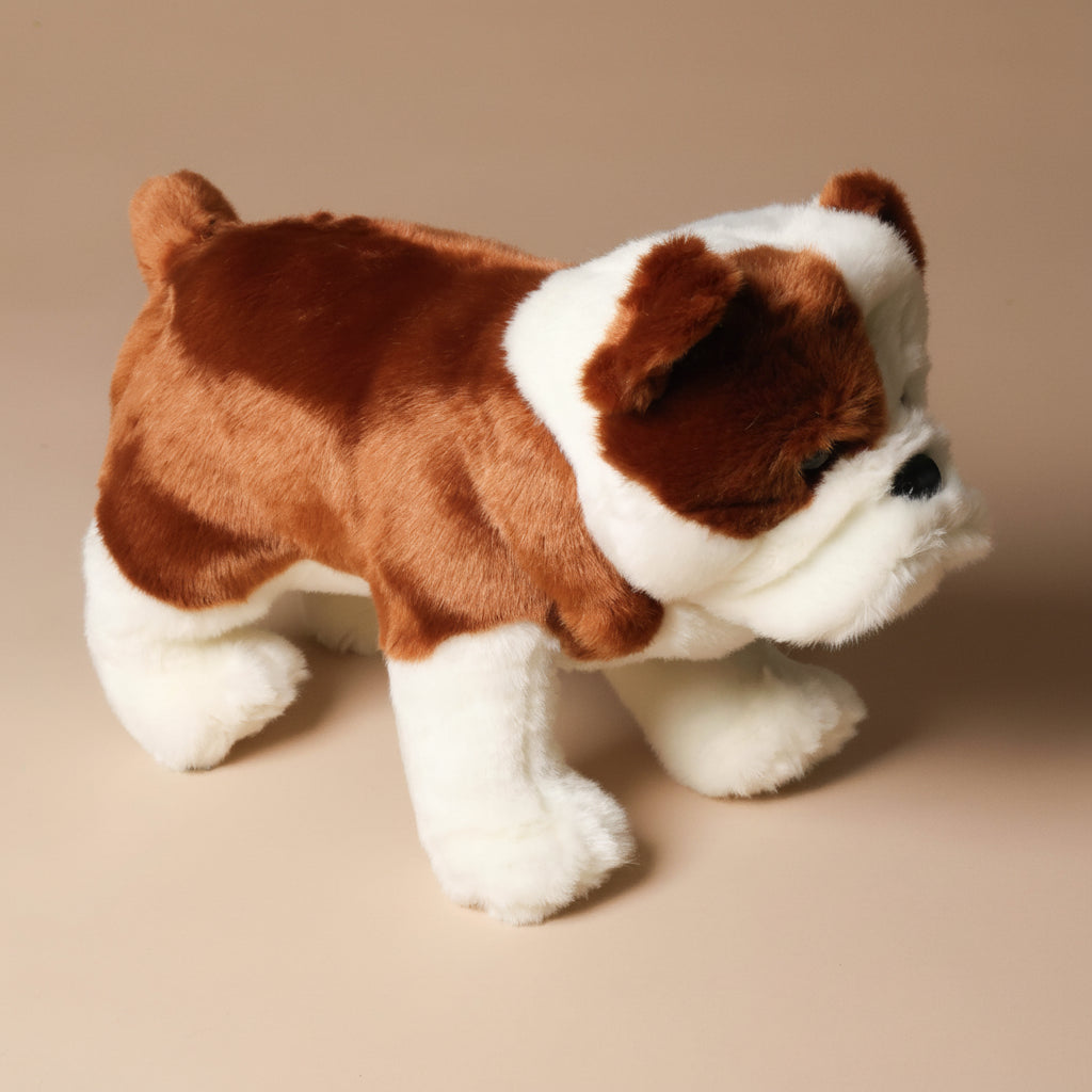 Plush harvey-the-bulldog toy with a tag on a beige background