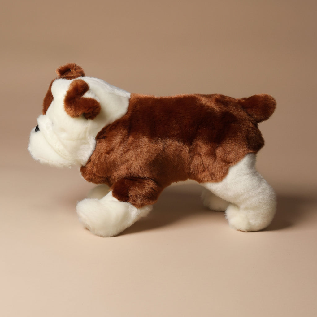 Plush harvey-the-bulldog toy with a tag on a beige background