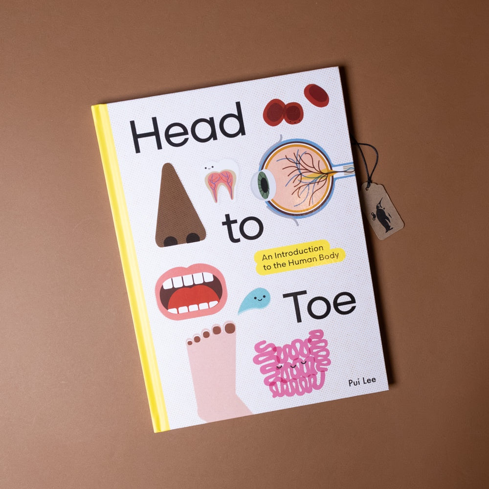 Head to Toe | an Introduction to the Human Body
