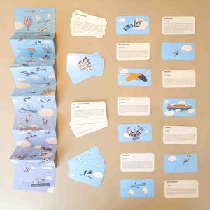 game-card-exampets