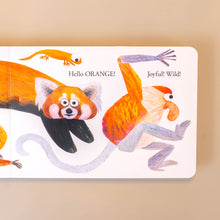 Load image into Gallery viewer, hello-orange-panda-monkey-salamander-illustration