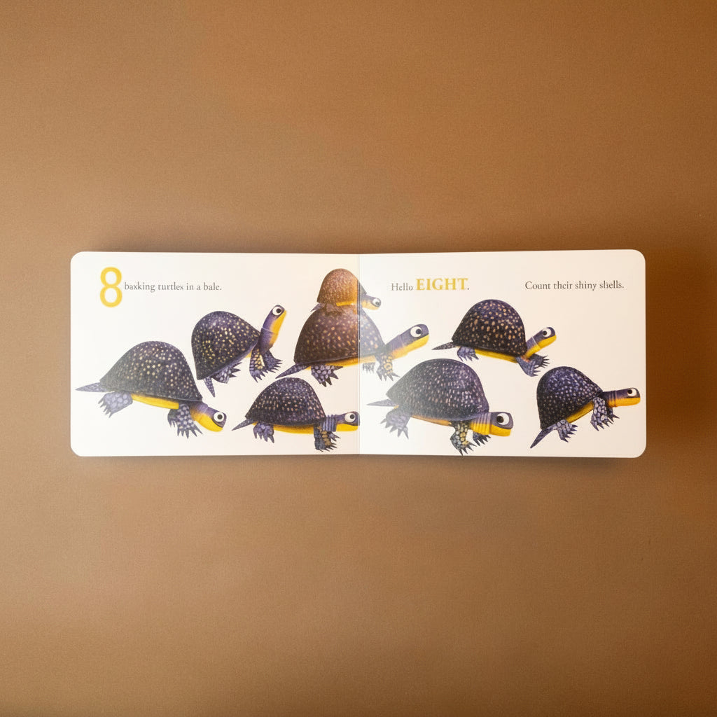 hello-hello-numbers-text-and-illustration-on-8-turtles