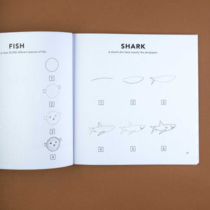 interior-page-showing-an-example-how-to-draw-a-shark-step-by-step