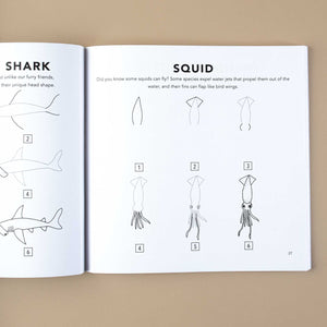 example-how-to-draw-a-squid