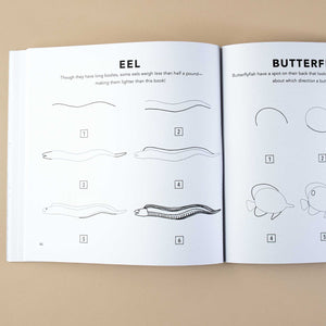 example-how-to-draw-an-eel