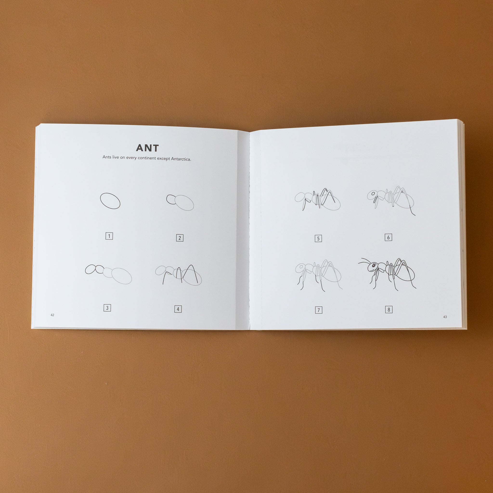 how-to-draw-mushrooms-and-woodland-creatures-for-kids-book-interior-page-step-by-step-ant