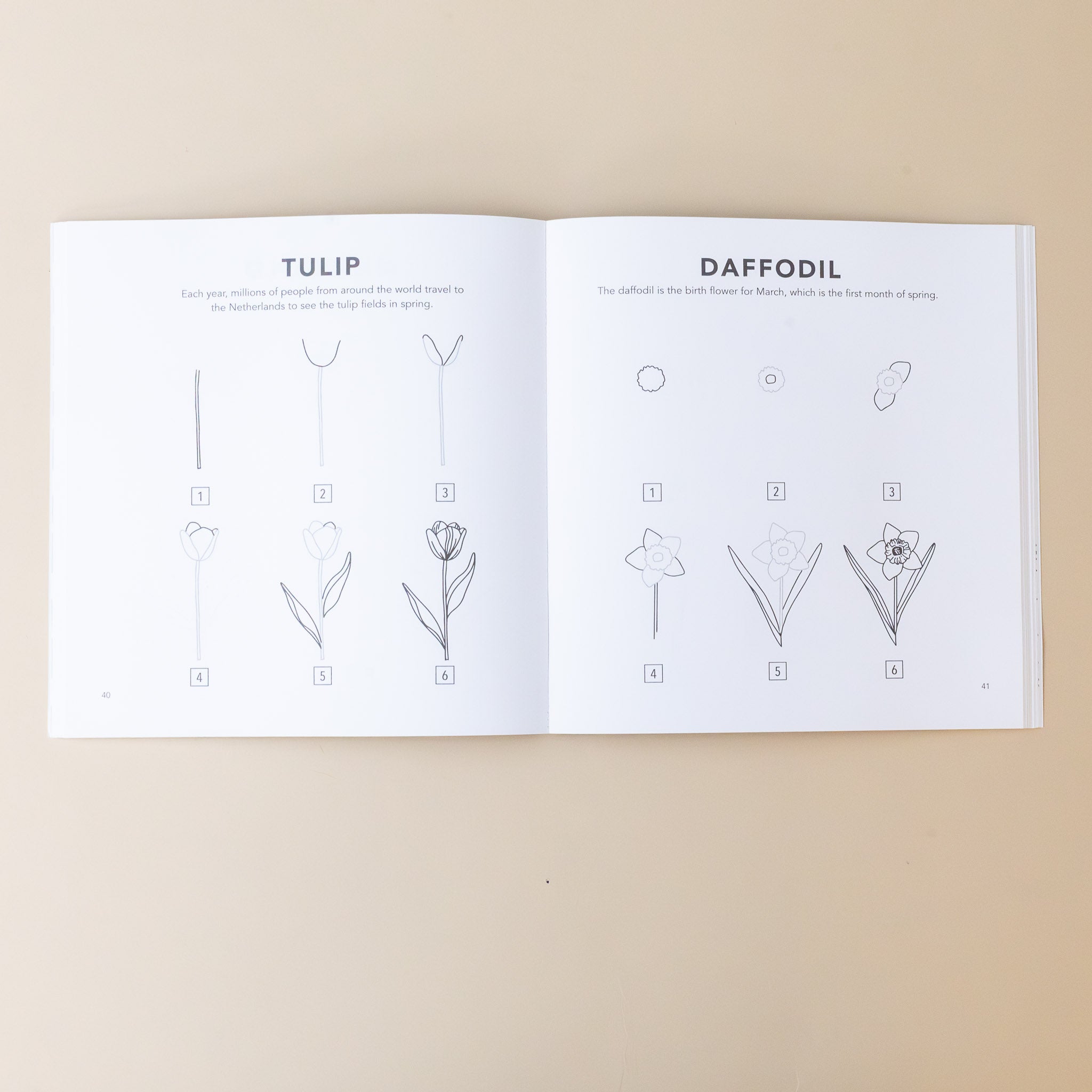 how-to-draw-spring-things-for-kids-book-tulip-daffodil-step-by-step