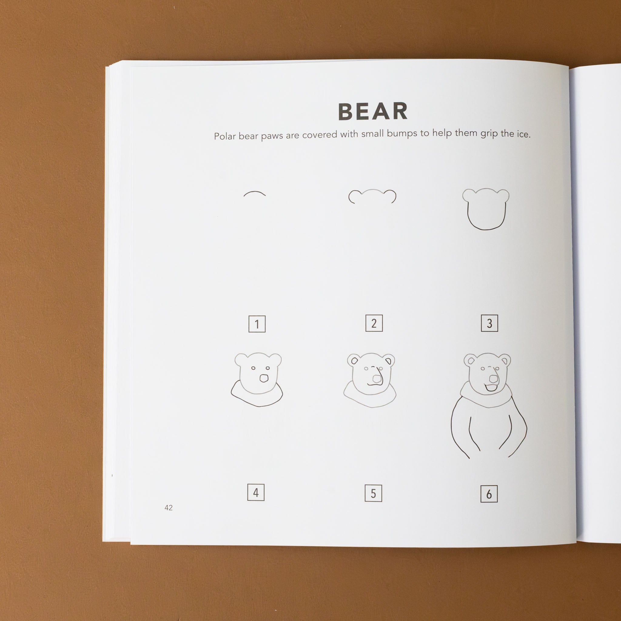 how-to-draw-winter-things-for-kids-book-interior-page-of-a-bear