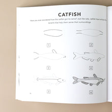 Load image into Gallery viewer, six-steps-examples-for-drawing-a-catfish-with-text-explaination