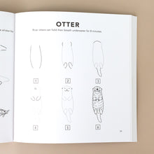 Load image into Gallery viewer, six-example-steps-to-draw-an-otter-with-text-details