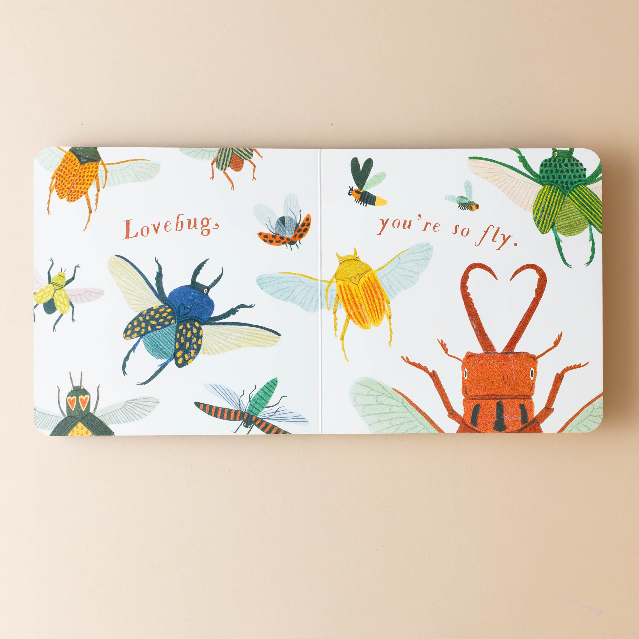 i-bug-you-board-book-inside-text-lovebug-you're-so-fly-with-different-bugs-flying-around