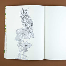 Load image into Gallery viewer, sample-page-with-owl-atop-mushrooms-and-blank-accompaning-page