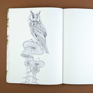 sample-page-with-owl-atop-mushrooms-and-blank-accompaning-page