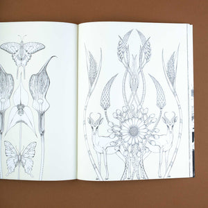 sample-page-with-butterflies-gazelle-and-flora-images