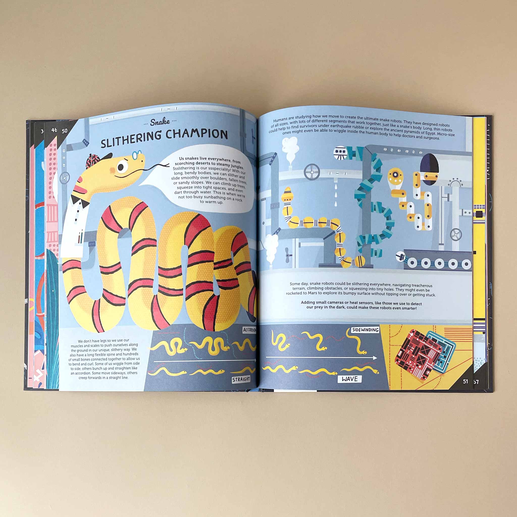 Open book with colorful illustrations of a snake and text on a beige background