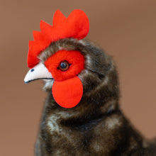 Load image into Gallery viewer, detail-face-of-brown-hen-with-bright-red-comb