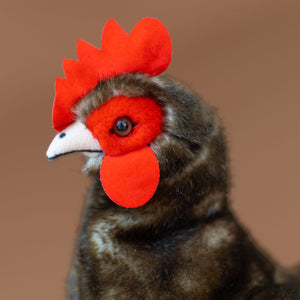detail-face-of-brown-hen-with-bright-red-comb