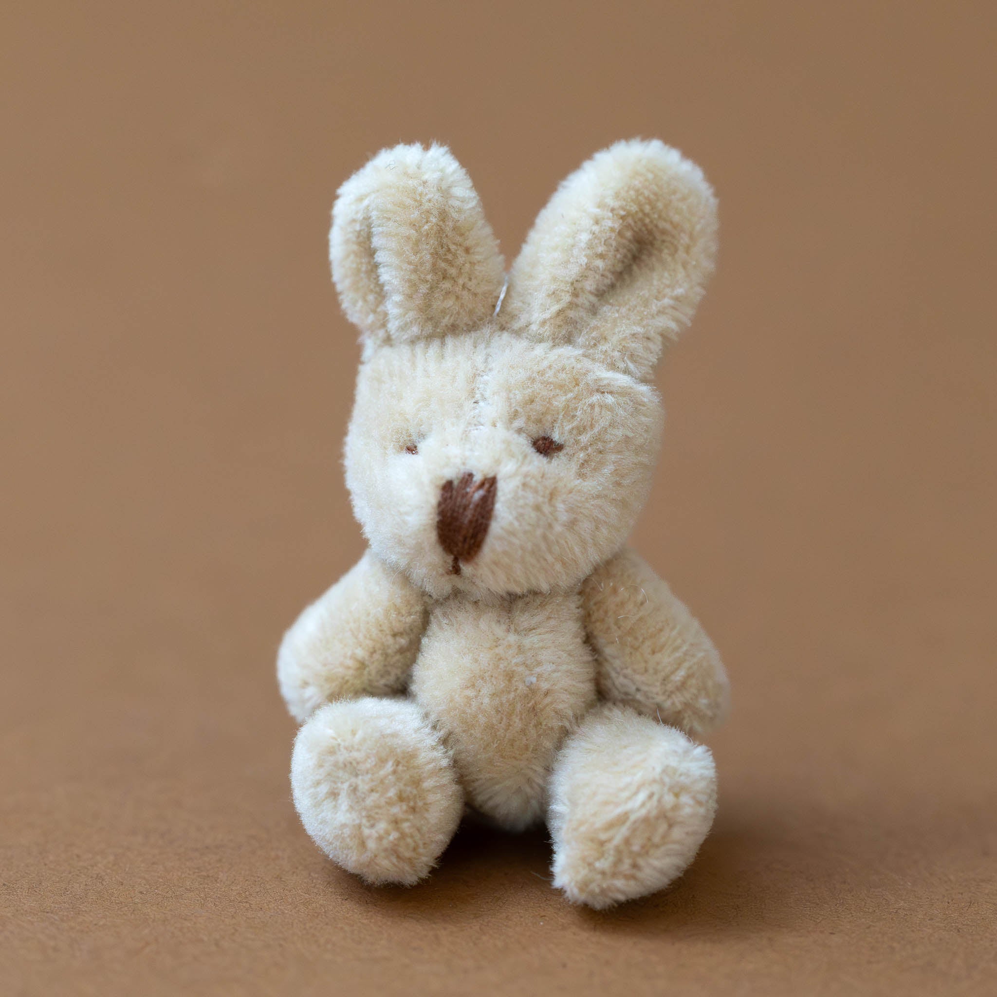 itty-bitty-bunny-oatmeal Small beige teddy bear on a brown background