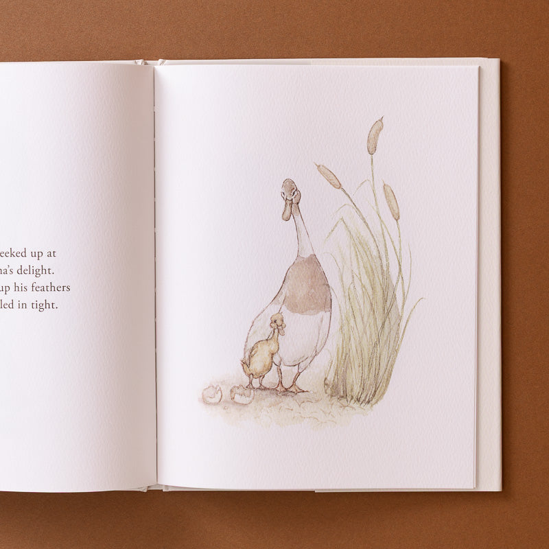 An open book spread showing a watercolor-style illustration of a duck and duckling beside reeds, photographed against a warm brown background.