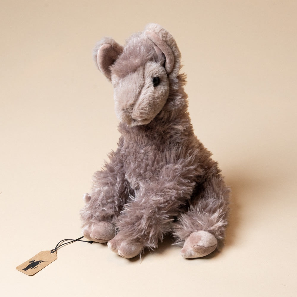 Josie the Llama