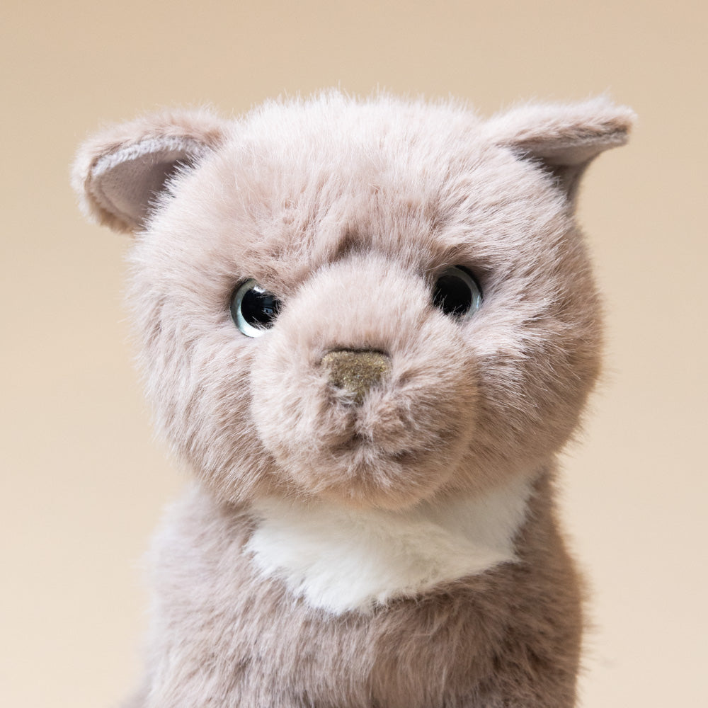kneadie-the-cat-face-stuffed-animal
