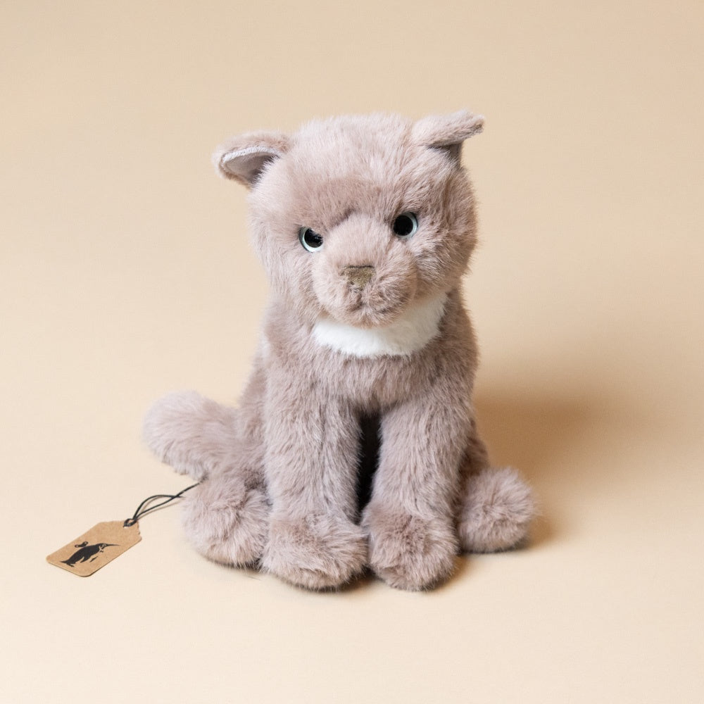 kneadie-the-cat Plush toy cat with a tag on a beige background
