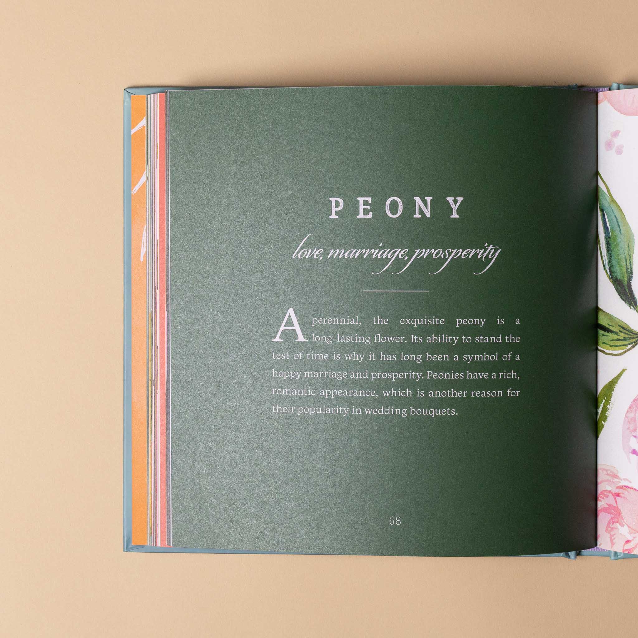 Open language-of-flowers-book with a page about peony flowers on a beige background