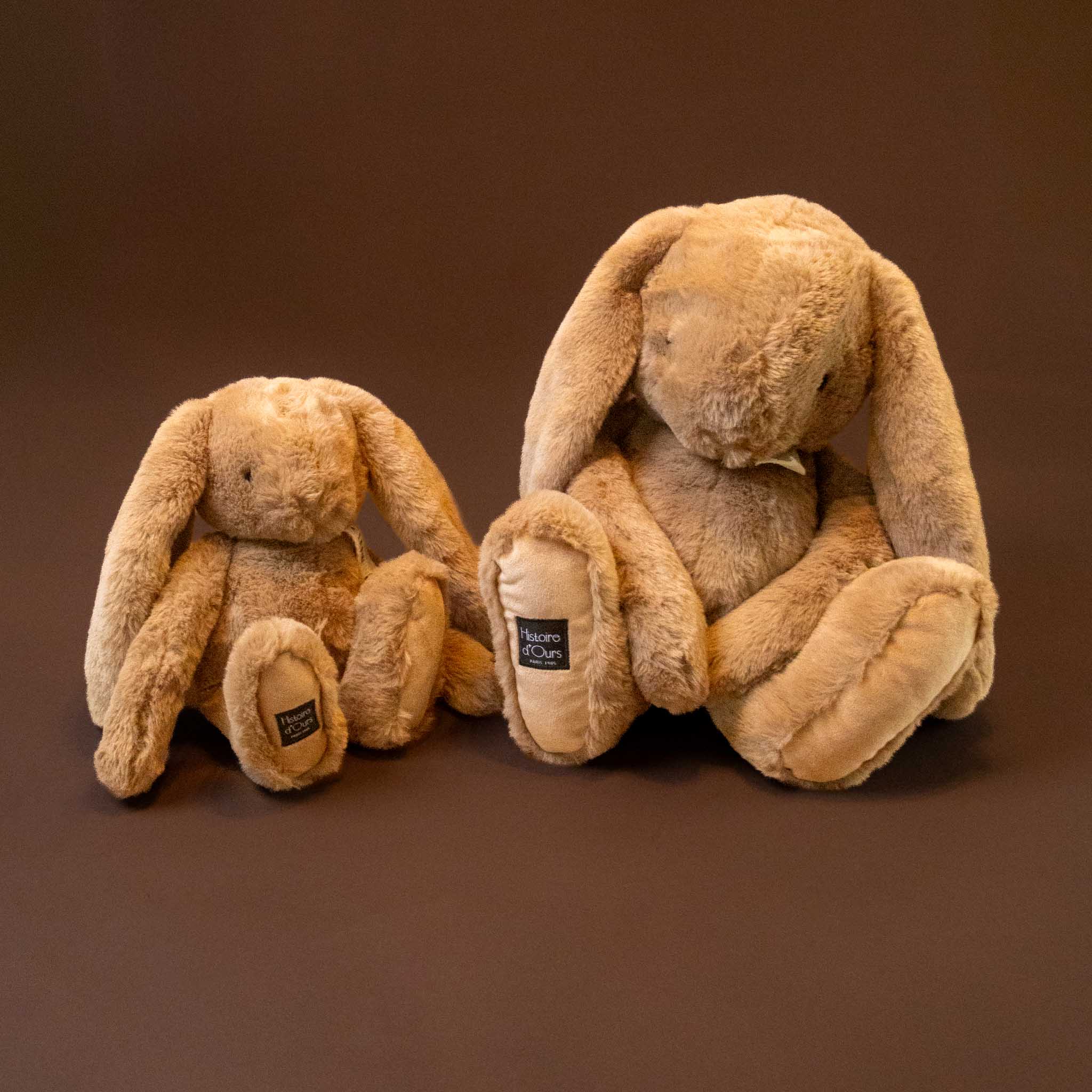 lapin-bunny--hazelnut---grand-petit