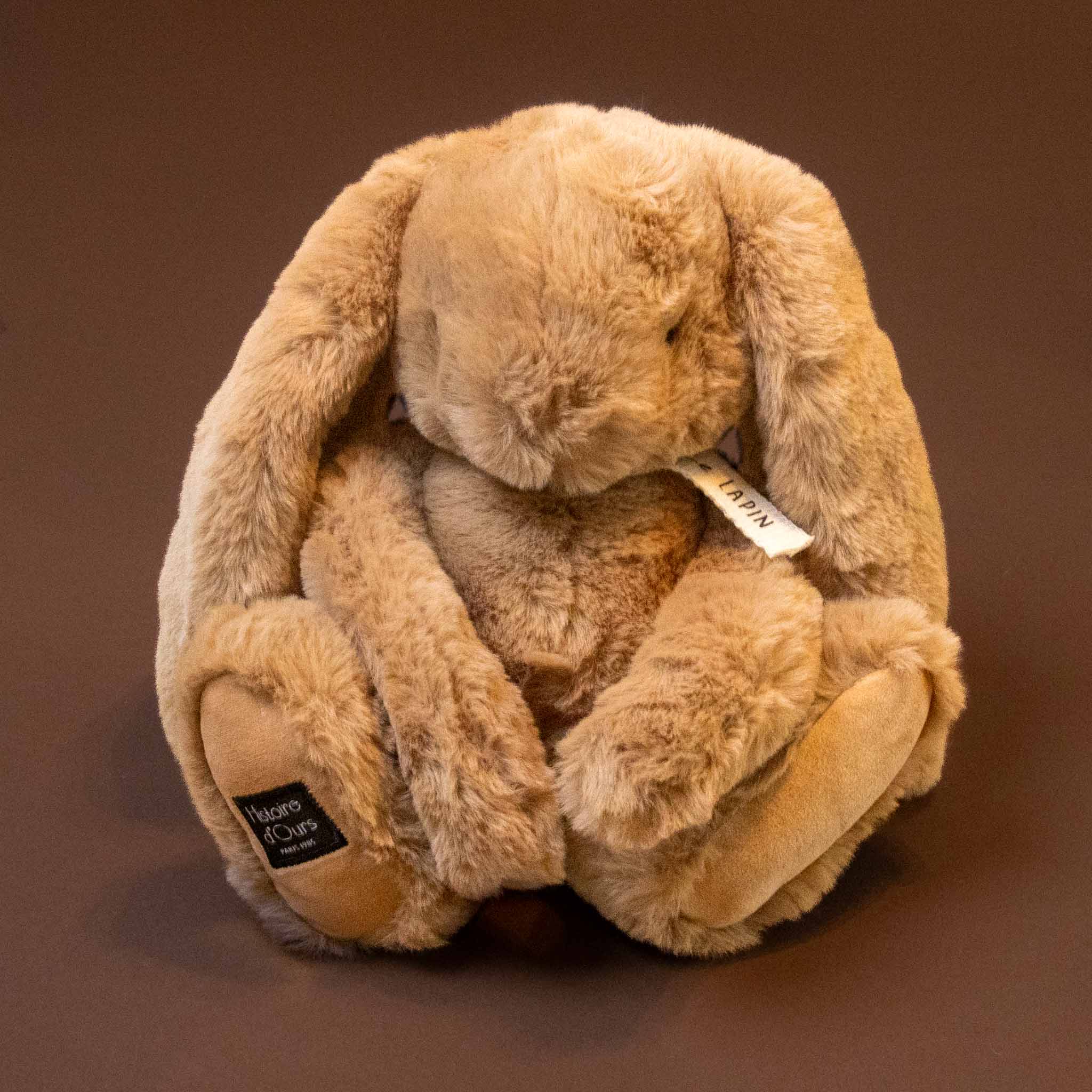 lapin-bunny--hazelnut---petit