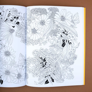 Open page of the colorong book Beautiful Planet by Leila Duly showing an intricate arrangement of flowers to color.