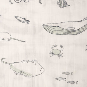 detail-view-of-outlined-stingray-whale-crab-fish-narwhal