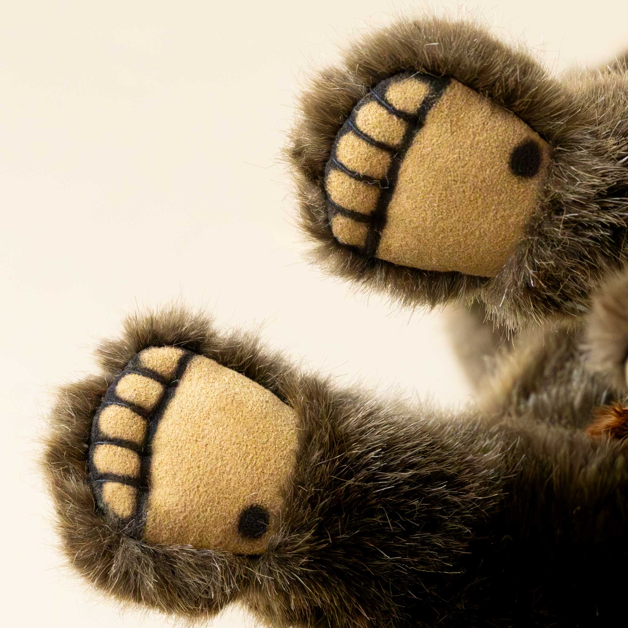 limited-edition-grizzly-bear-max-sitting-paws