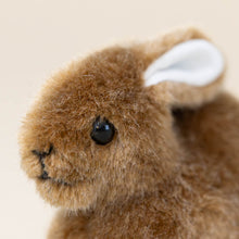 Load image into Gallery viewer, little-brown-bunny-crouching-nose-eyes-ears-closeup