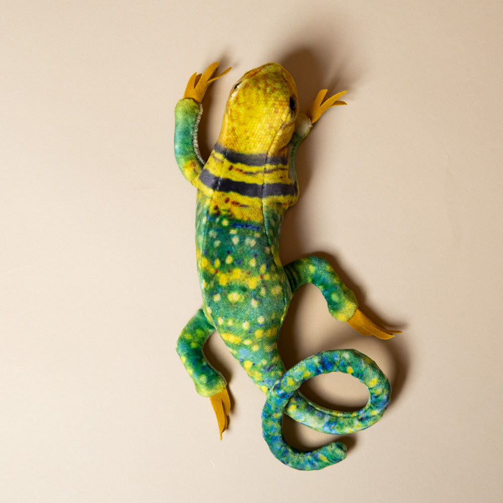 little-collared-lizard-finger-puppet-back