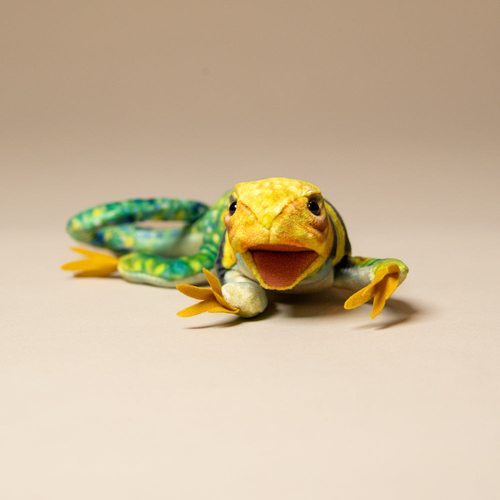 little-collared-lizard-finger-puppet-face
