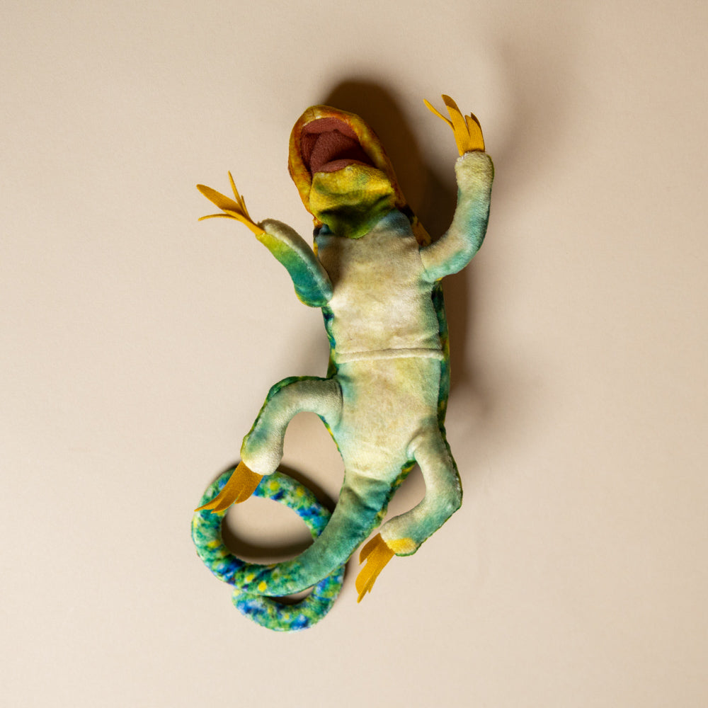little-collared-lizard-finger-puppet-belly