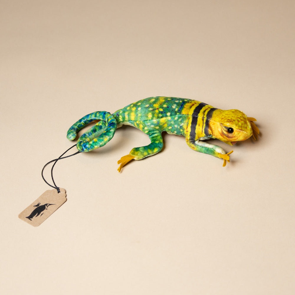 little-collared-lizard-finger-puppet