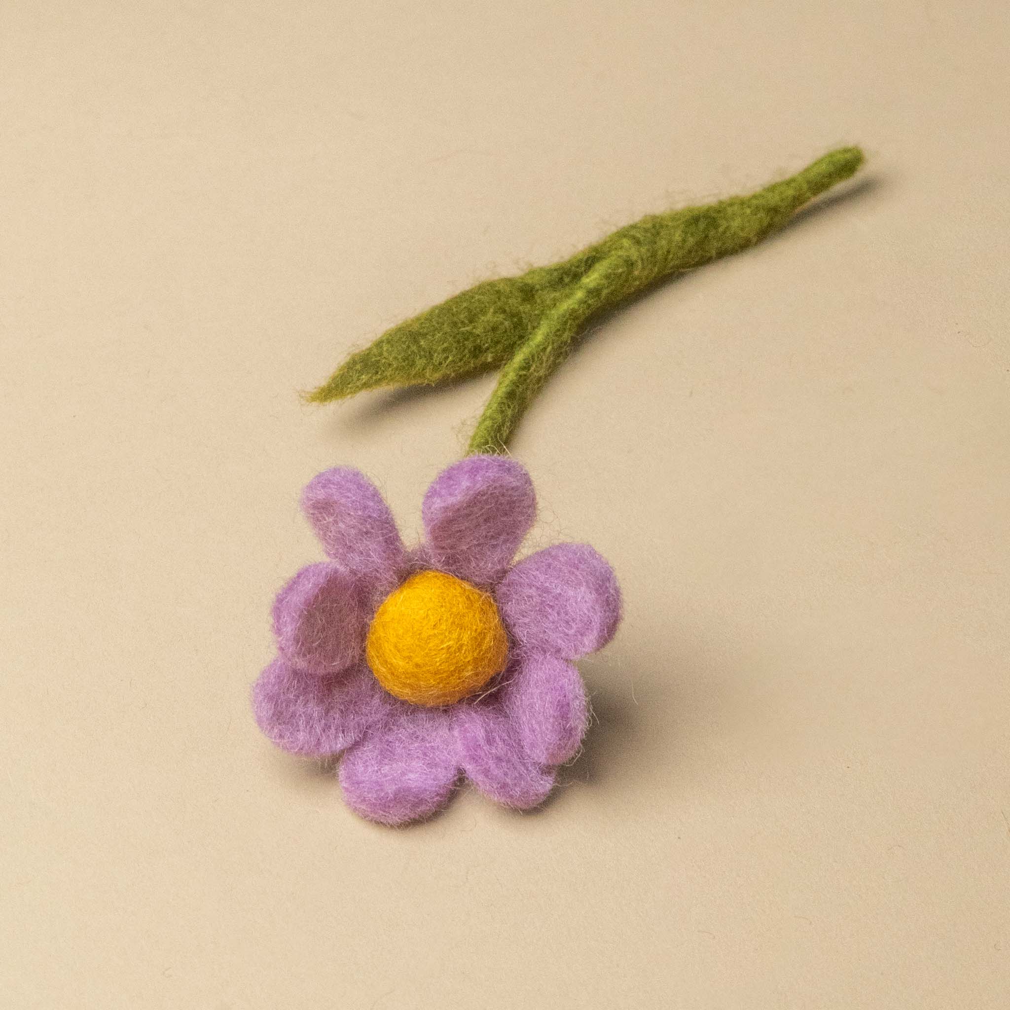 little-felt-anemone-with-leaf-mulberry