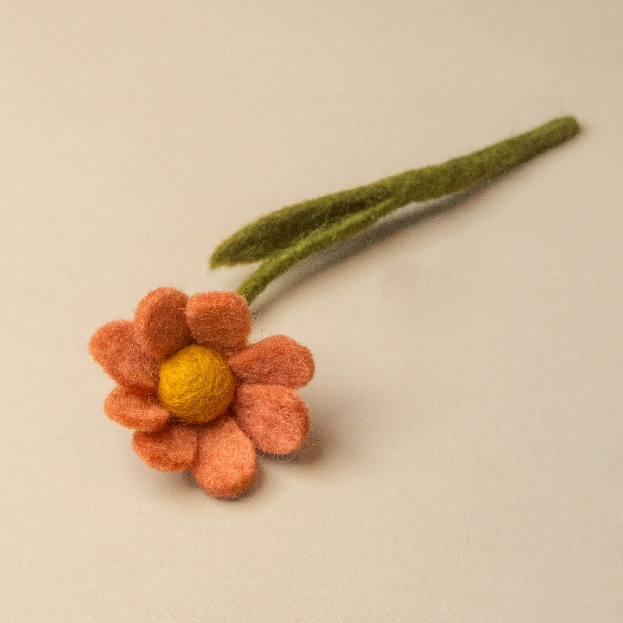 little-felt-anemone-with-leaf-salmon