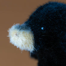 Load image into Gallery viewer, little-black-mole-standing-stuffed-animal-tan-snout-and-dark-eyes