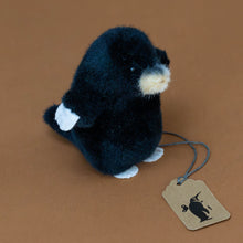Load image into Gallery viewer, little-black-mole-standing-stuffed-animal