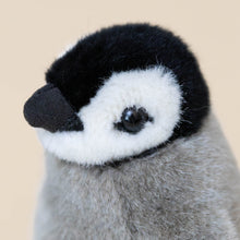 Load image into Gallery viewer, grey-black-white-little-penguin-chick-stuffed-animal-face-with-beak-and-eye-detail