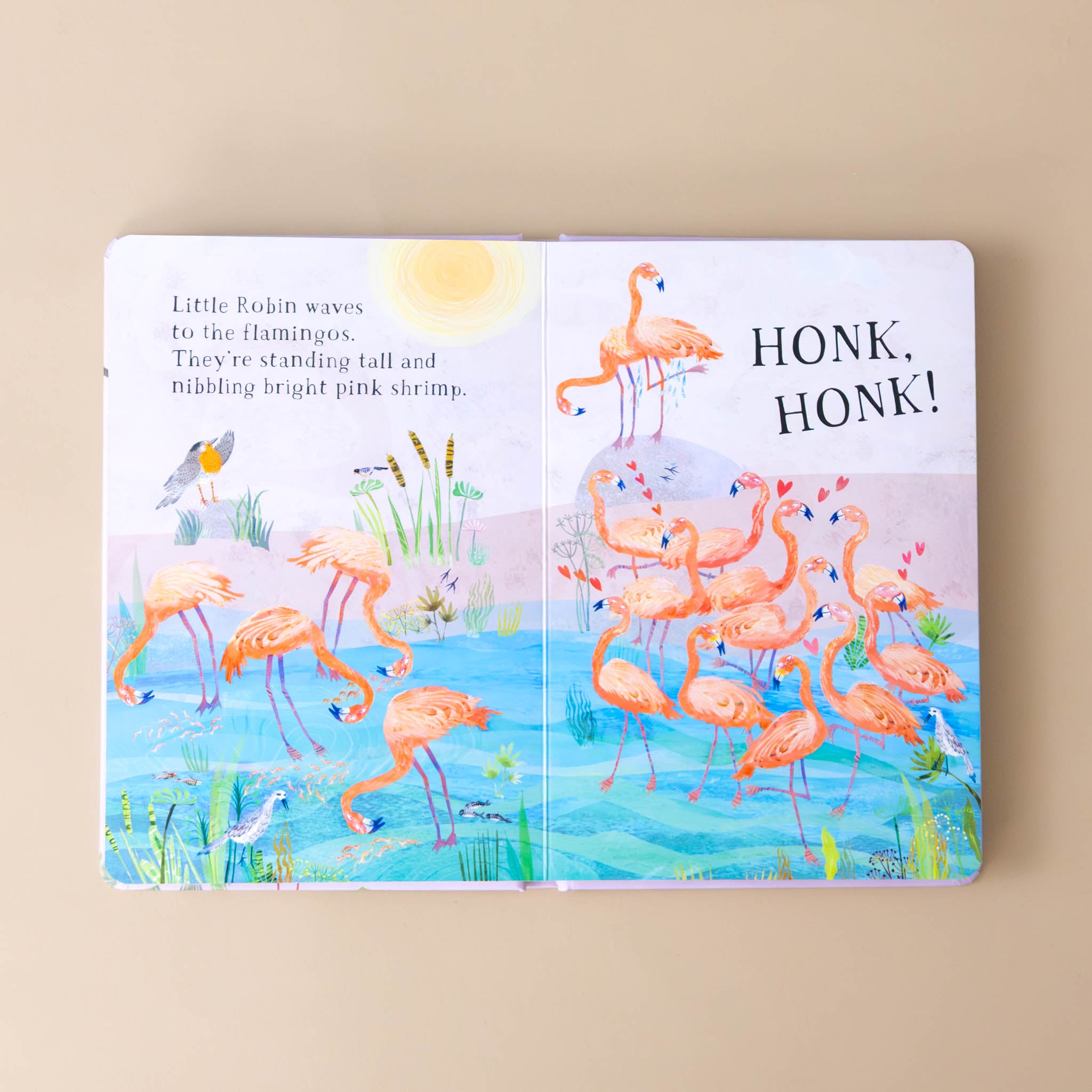 little-robins-book-of-birds-pages-with-flamingos-in-water-with-text-and-large-words-honk-honk