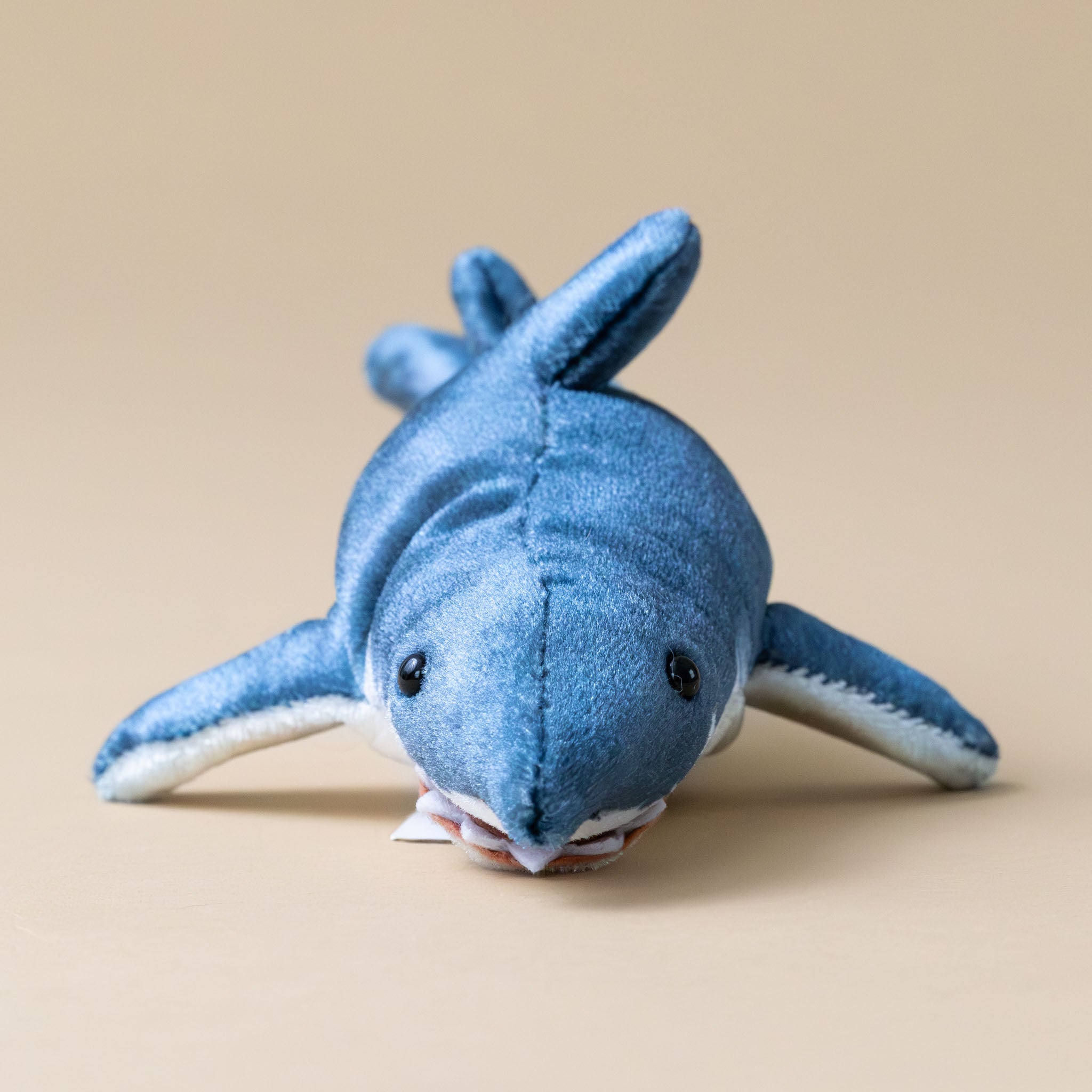 little-shark-finger-puppet-front