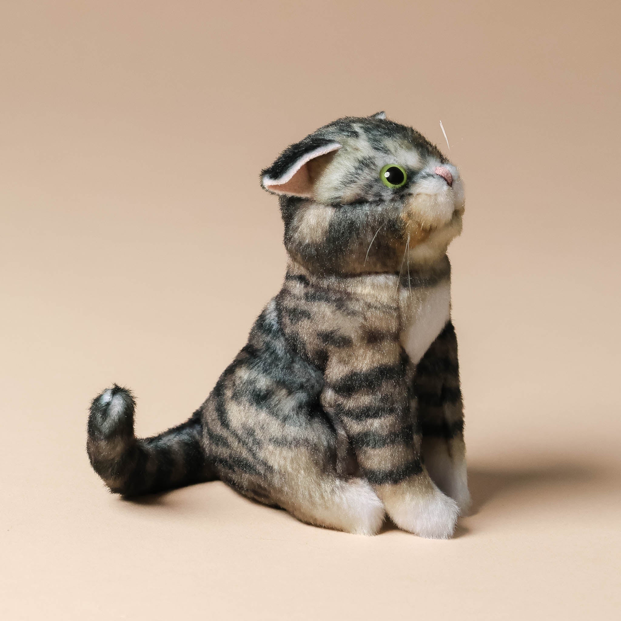 little-tabby-cat-finger-puppet