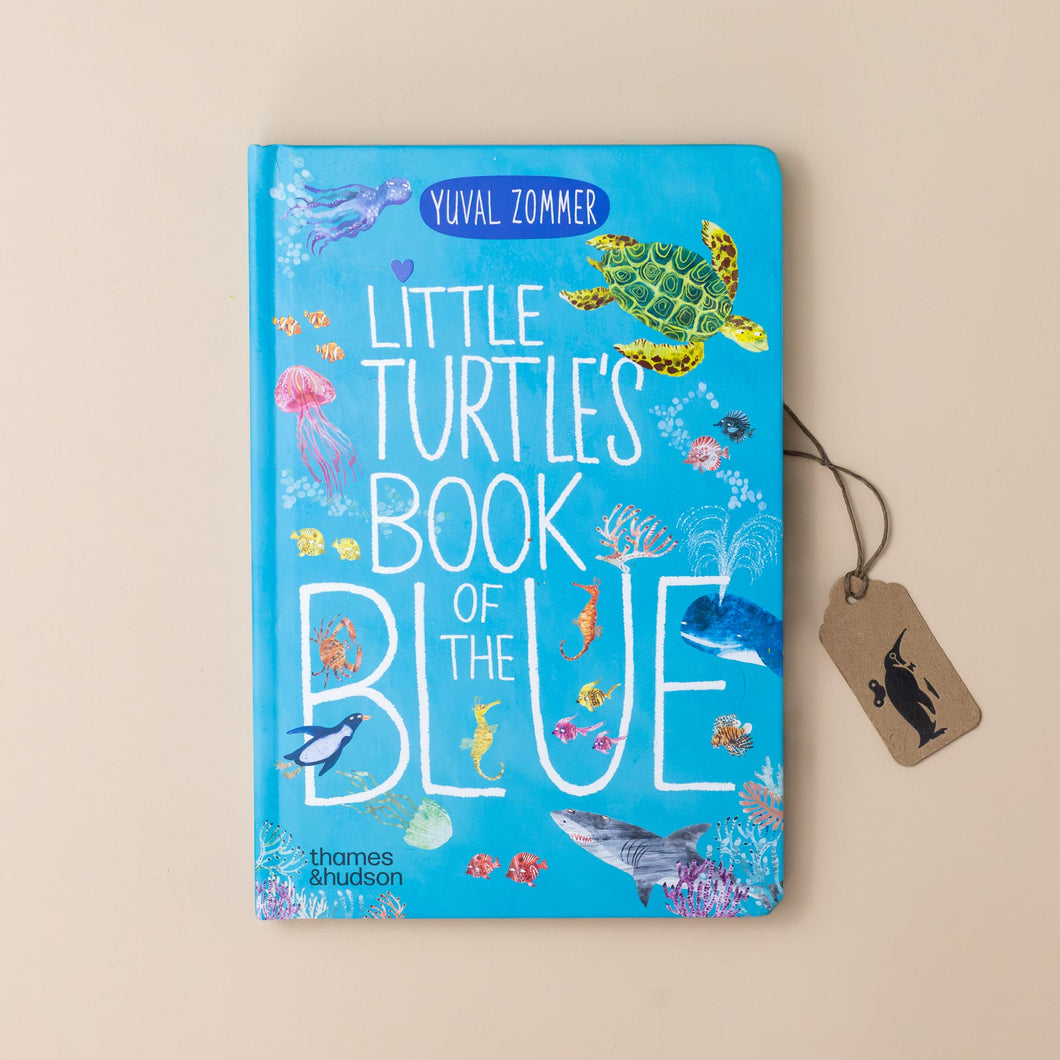 blue-cover-of-little-turtles-book-of-the-blue-with-turtle-swiming-amongst-many-sea-creatures