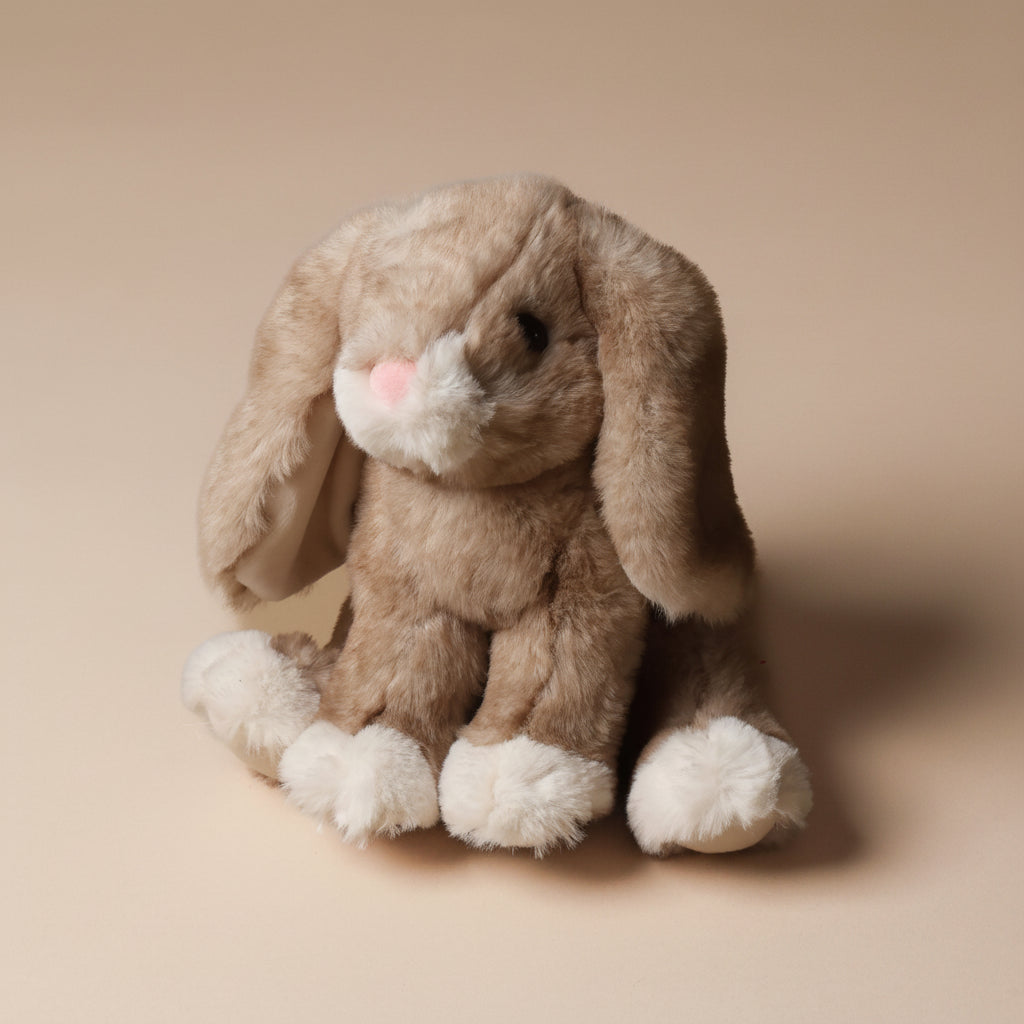 little-white-foot-artie-bunny-sitting