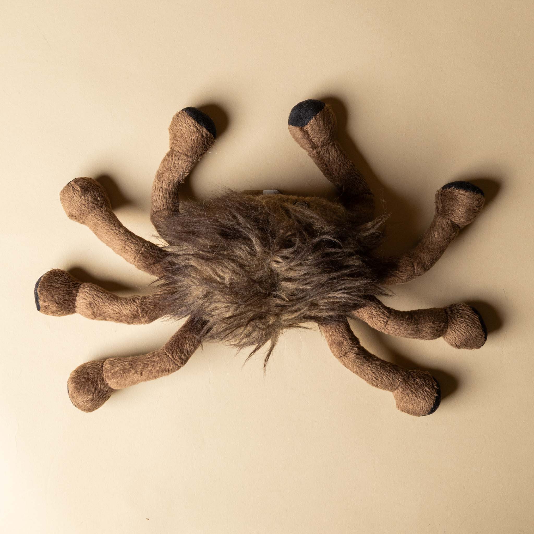 little-wiley-spider-stuffed-animal-top