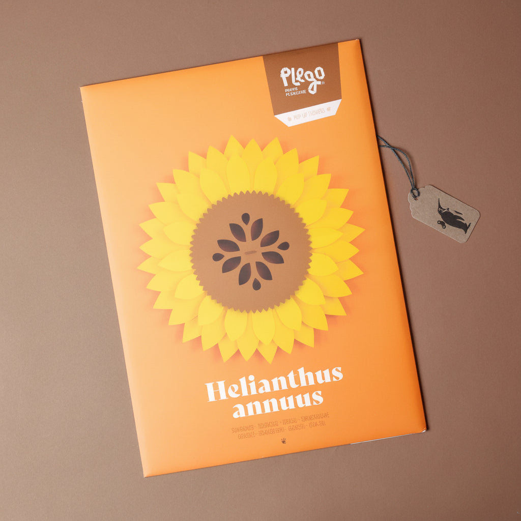 make-your-own-3d-sunflower-paper-model-1